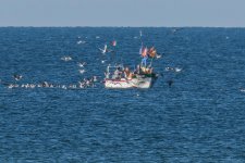 IMG_1909.jpg