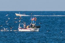 IMG_1911.jpg