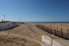 IMG_1941.jpg