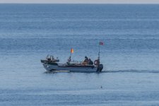 IMG_1943.jpg