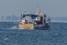 IMG_1797.jpg