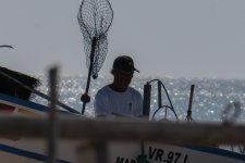 IMG_2038 600 2x.jpg