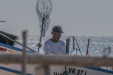 IMG_2038-3 600 2x.jpg