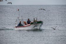 IMG_2197.jpg