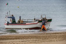 IMG_2203.jpg