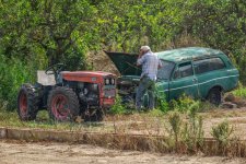 IMG_2238.jpg