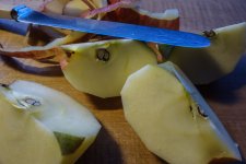 DSC09909-2.jpg