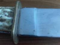 IMG-20151108-00820.jpg