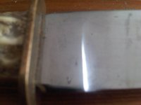 IMG-20151108-00821.jpg