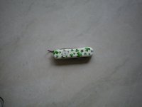 Trifolium.jpg