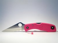 C11SPN Delica Pink 103 (Medium).JPG