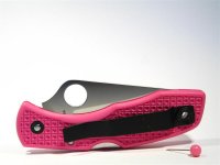 C11SPN Delica Pink 106 (Medium).JPG