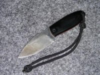 ribbeldipp.JPG