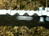 PICT1767.jpg