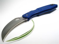 C77PBL Spyderhawk 101 (Medium).JPG