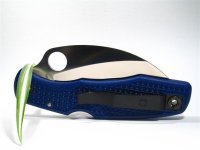 C77PBL Spyderhawk 106 (Medium).JPG