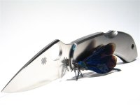 C28P Dragonfly 102 (Medium).JPG