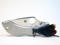 C28P Dragonfly 105 (Medium).JPG