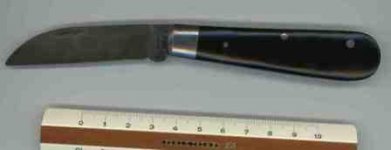 otter578 komp.jpg