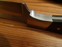 DSC00287[1].jpg