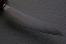 IMGP62191160120161.jpg