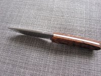 IMG_1548.jpg