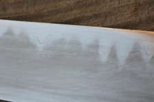 IMG_6202.jpg