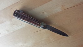 20160325_113142.jpg