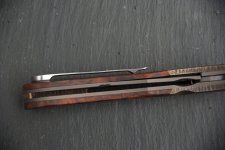 schmoll01.jpg schmoll01.jpg