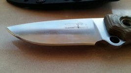 20160418_194847_resized_1.jpg