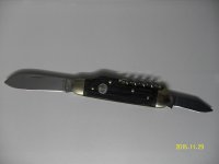 SDC16395.jpg