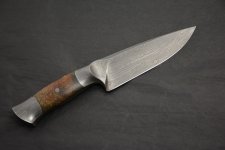 DSC_3216 (1024x683) (800x534).jpg