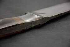 DSC_3197 (1024x683) (800x534).jpg