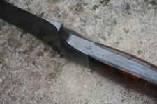 DSC_3251 (1024x683) (800x534).jpg