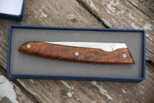 Perceval20160704002.jpg