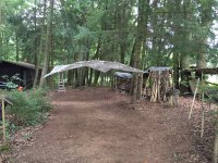 wald2.jpg