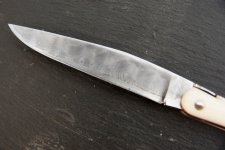 messer2016071114.jpg messer2016071114.jpg