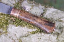 DSC_1325.jpg