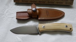 Lionsteel_M40002.JPG