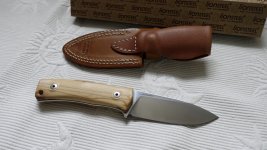 Lionsteel_M40003.JPG