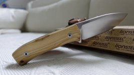 Lionsteel_M40004.JPG