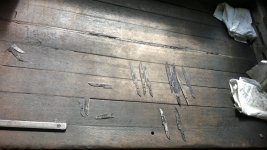 WP_20160903_004.jpg
