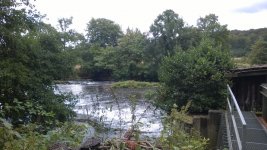 WP_20160904_020.jpg