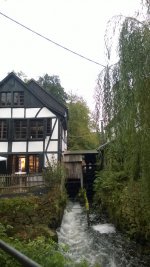 WP_20160904_033.jpg