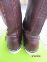 Red Wing 2.JPG Red Wing 2.JPG