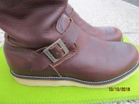 Red Wing 3.JPG Red Wing 3.JPG