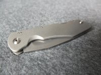 DSCF3313.jpg