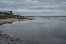 DSC01274.jpg