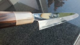 DSCF1506.jpg