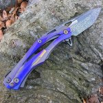 ckf1.jpg